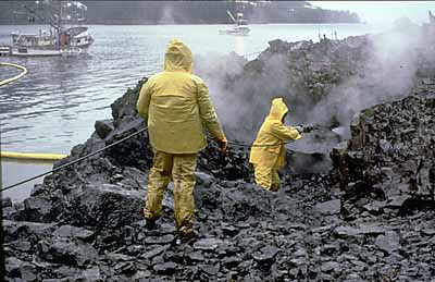 Workers cleaning up oil spill on shore
