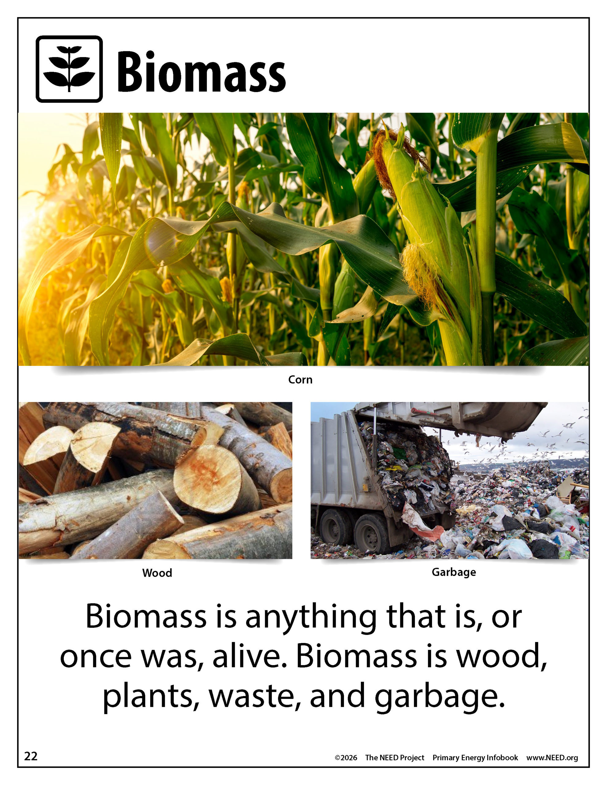 Energy Infobooks (Free PDF Download) - Image 15