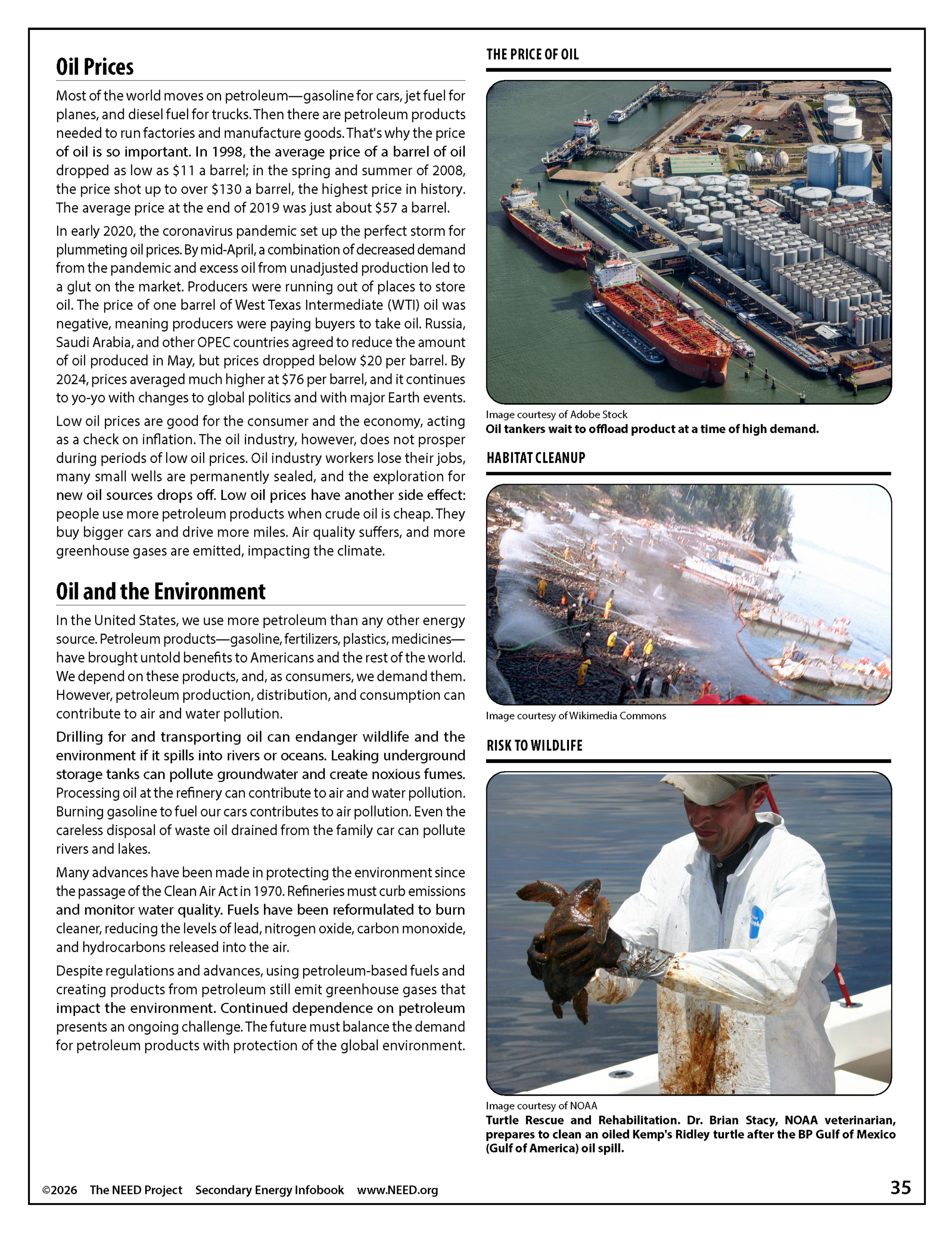Energy Infobooks (Free PDF Download) - Image 12