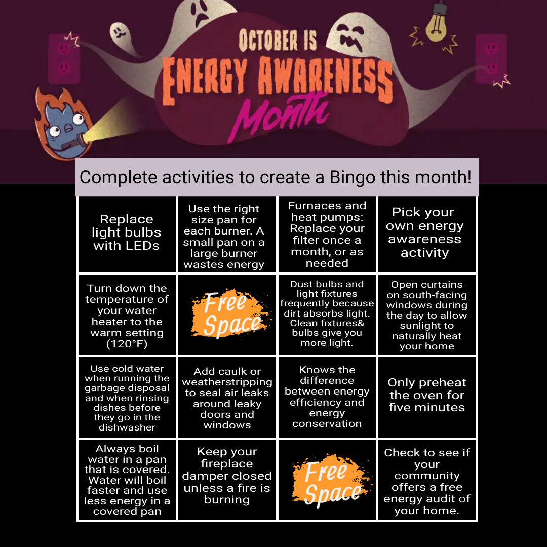 Energy Awareness Bingo
