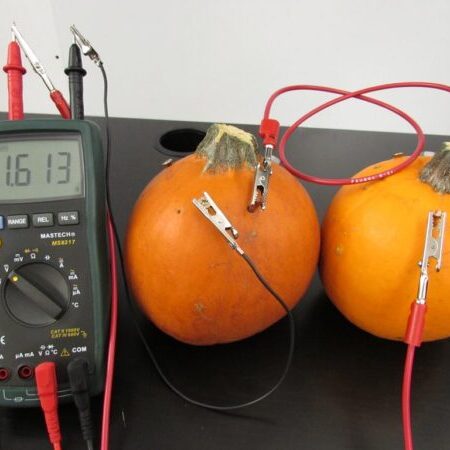 pumpkin battery